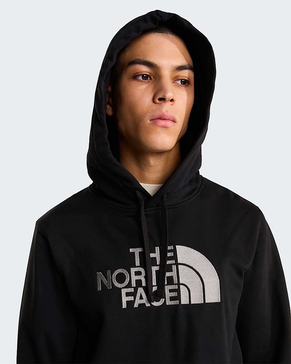 The North Face Drew Peak Hoodie