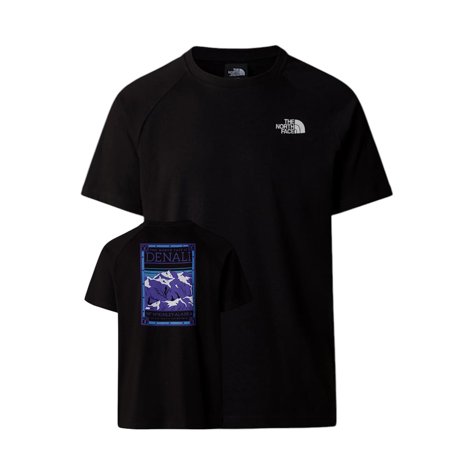 The North Face Denali T'shirt